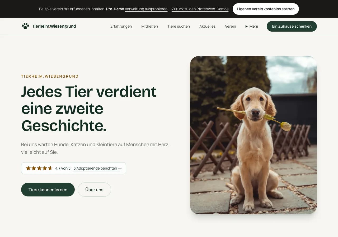 Pfotenweb-Demo Wiesengrund: Startseite einer fiktiven Vereinswebsite